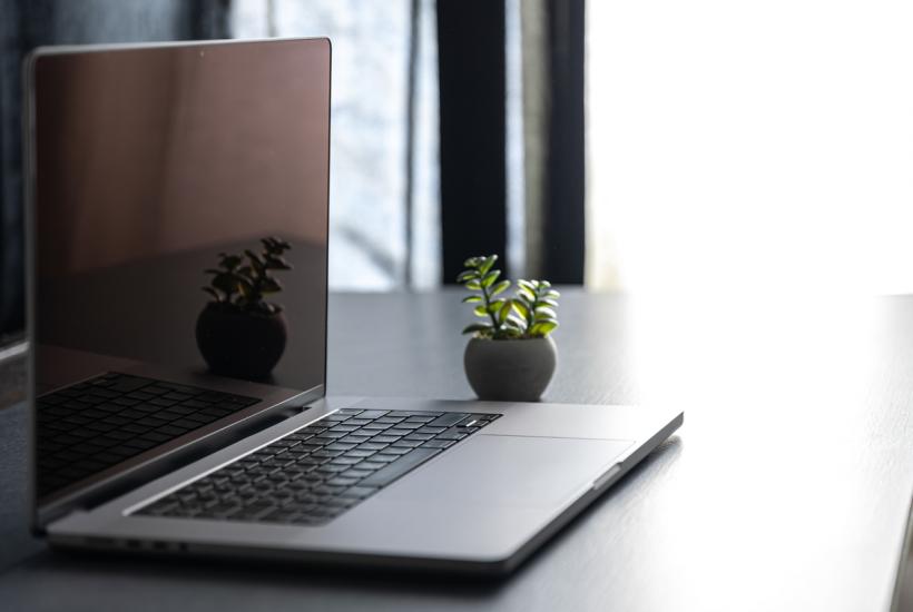 Цветок рядом с ноутбуком