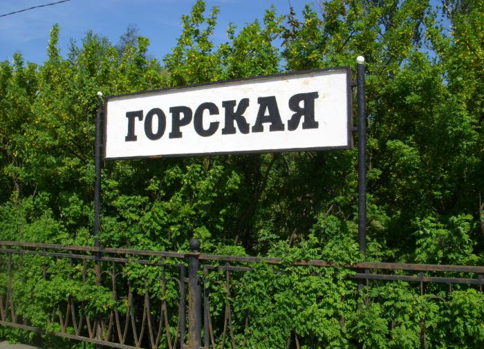 Новые расходы для бюджета. Губернаторский "К 19" вырос в цене на 6,5 млрд рублей