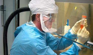 Загадка 1812 года: это открытие перевернуло представление о причинах гибели армии Наполеона