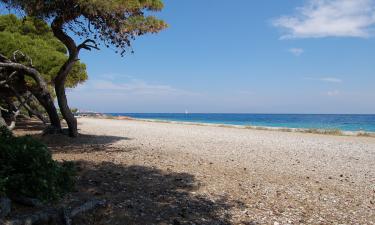 Место, где море стало тише: новый пляж на Балтике, который сравнивают с Дубаем