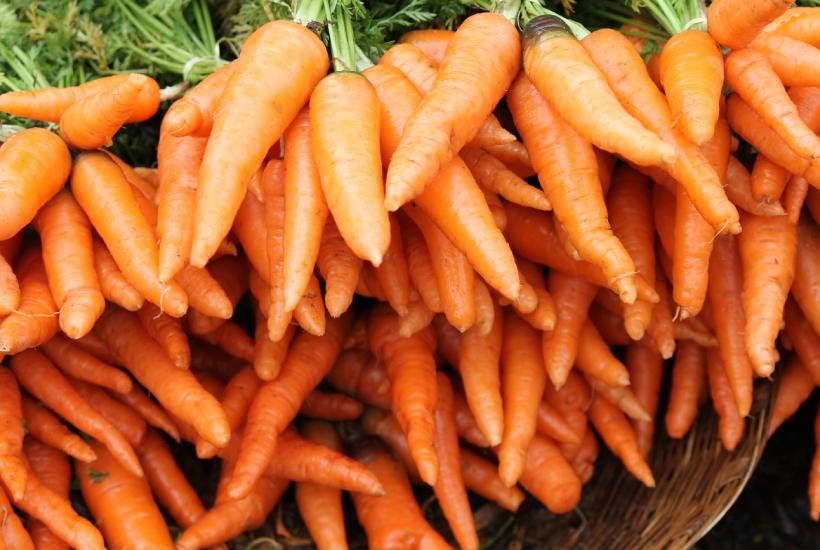 Свежая морковь