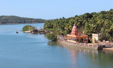 Компании Индии готовы заменить ушедшие из России западные бренды