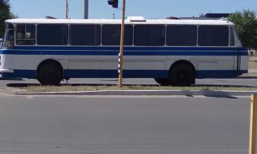 Работа водителем автобуса в СССР: романтика, план и дисциплина на дизеле