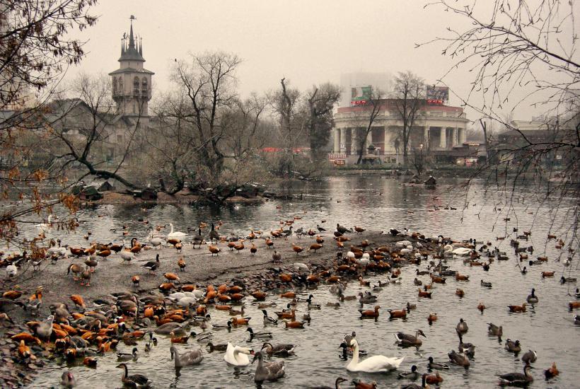 Московский зоопарк Московский зоопарк