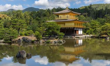 Маршрут, который не покажут блогеры: настоящая Япония за пределами популярных точек