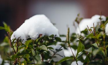 Майорка столкнулась с аномальной снежной бурей — климатологи