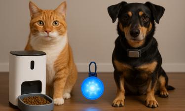 Россияне чаще покупают новогодние подарки для питомцев