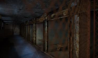 Японцы вернулись к смертной казни: вот за что они наказали преступника