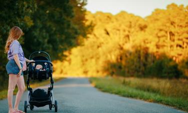 Милонов призвал ввести мониторинг роддомов по стране