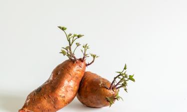 Медленный прогрев батата повысил уровень мальтозы по данным Serious Eats