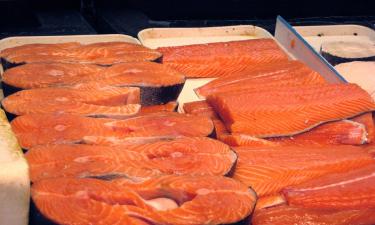 Десятки тонн лосося преградили путь немецким автомобилистам — Bild