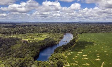 Дух змеи против науки: таинственная река в Амазонии бросает вызов физике