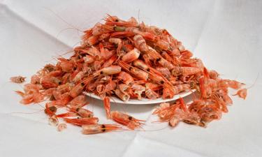 Приморье и Сахалин вводят ограничения на вылов креветки