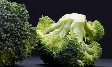 Брокколи назвали самым полезным овощем на планете: в чём её скрытая сила