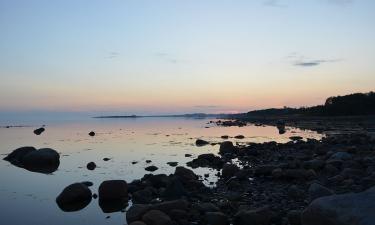 Морские зайцы и северные птицы сторожат маяк: этот остров ведёт в мир без цивилизации