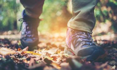 Неподготовленные люди рискуют сердцем из-за 10 тысяч шагов, сообщает терапевт Лапа