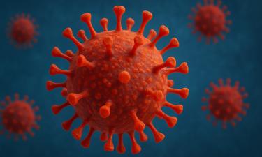 Вирусы оказались мастерами перевоплощения: найден механизм, который делает их живучими, как мутанты