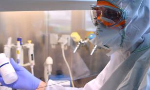 Врач Викулов: мёд может содержать возбудитель ботулизма