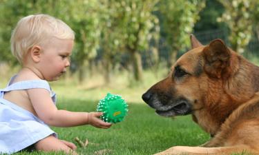 Кам Шрипада: дети уязвимы к микропластику из-за незрелой иммунной системы