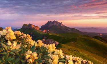 Под ногами — история: в Адыгее археологи раскрыли древнее городище с 600 артефактами