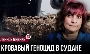 Война в Судане блокирует создание российской военно-морской базы — политик Митина