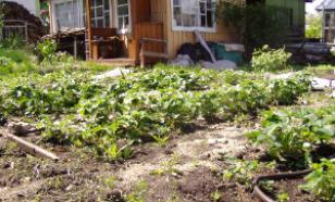 Депутат Госдумы объяснил, как стать членом СНТ после смерти родственника