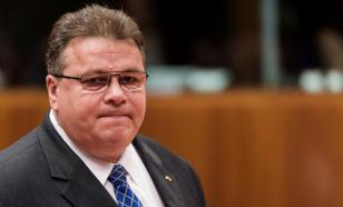 Глава МИД Литвы захлебнулся желчью после слов Саркози о России