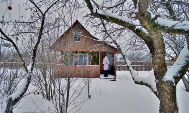 Салат латук успешно зимует на приподнятых грядках — Mein Schöner Garten