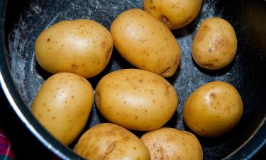 Нарезка кубиками ускоряет варку картофеля в два раза — повара