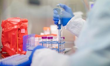 Разработан новый препарат, который помогает запускать процессы заживления — NewAtlas