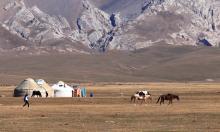 Ржавый скальпель западной политики: Киргизию пытаются наказать за феноменальный прыжок экономики