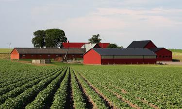 Ферма будущего: в джунглях Амазонки выращивают асаи для всего мира