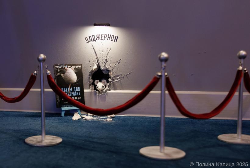 Инсталляция к премьере Цветы для Элджернона. 30 лет спустя в фойе театра Модерн