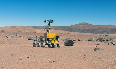 Curiosity обнаружил камни в виде кораллов на Марсе: что говорят учёные в NASA