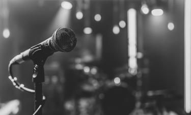 Табриз Шахиди назвал самых дорогих артистов на корпоративы