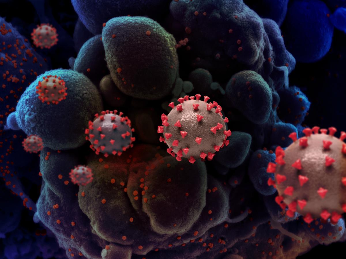 V Kijevu upad števila okužb s koronavirusom, medtem ko dolgotrajna okužba ustvarja nove različice