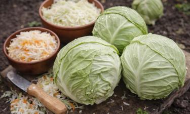 Не вся капуста дружит с рассолом: с этими сортами горечь не задерживается