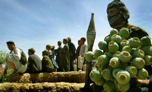 Эксперт: Афганистан не сможет отказаться от производства и продажи наркотиков