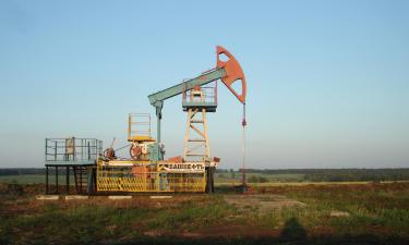 Индия нарастила закупки нефти на Ближнем Востоке и сократила в России. Что это значит
