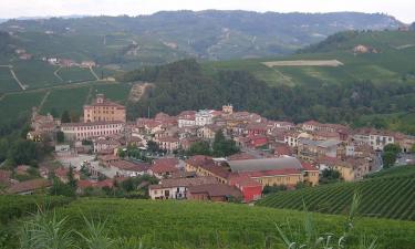 Вино, холмы и сыр: как посетить Тоскану и не пропустить главное