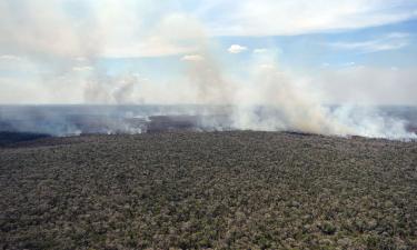 Амазония на грани гибели: огненная стихия уничтожила территорию размером с Бельгию