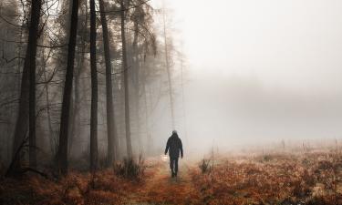 Перезапуск культового сериала Секретные материалы: тайны и надежды фанатов