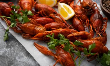 Раки скрылись в норах, бизнес — в отчётах: Новосибирская область поставила добычу на паузу