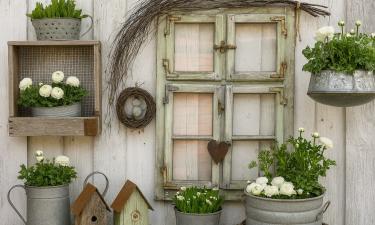 Трещины в древесине заделывают смесью опилок и ПВА — канал "Мастер на все руки"