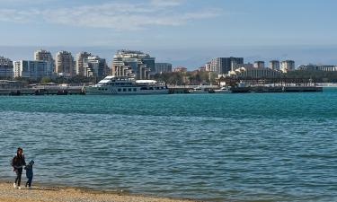 Как открытие аэропорта в Геленджике изменило туристические запросы и интерес к курорту