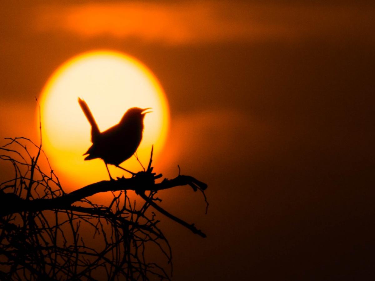 Вот что случится, если яркость Солнца начнёт снижаться  учёные