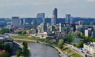 Статистика и наблюдения: как высокий процент женщин меняет культурные тренды Литвы?