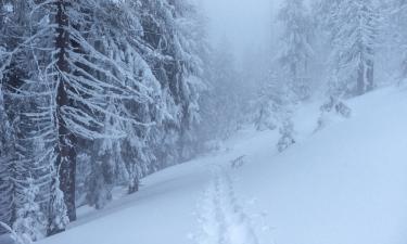Германии предсказали большие проблемы в случае холодной зимы