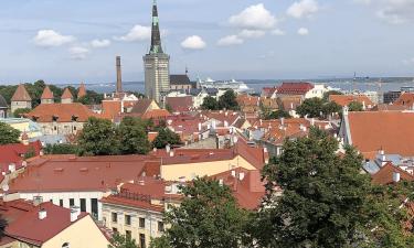 Фишинг, кражи, утечки: эстонские цифровые ID оказались дырявой бочкой