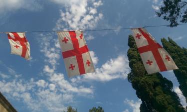 Спецназ не поддался: грузинский план оппозиции взять власть рухнул